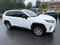 2020 Toyota RAV4 LE Sport Utility 4D